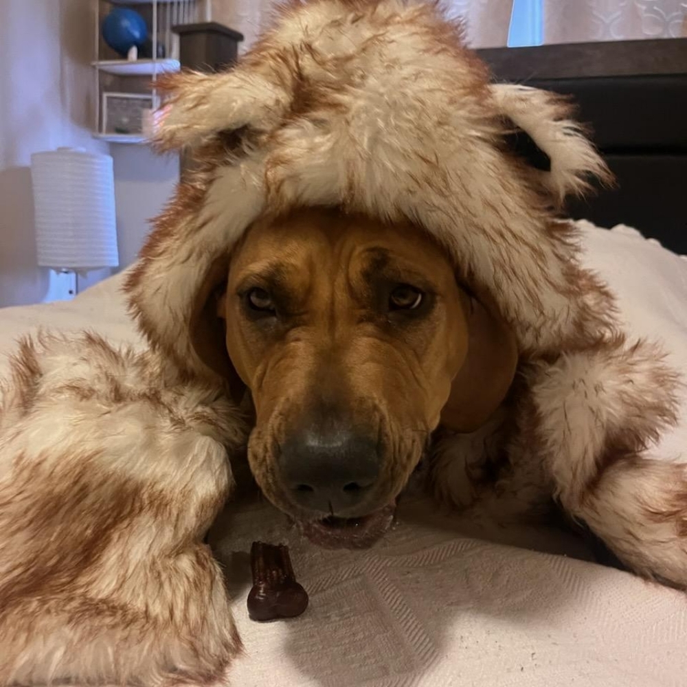 Please make offers and bundles. 🤗